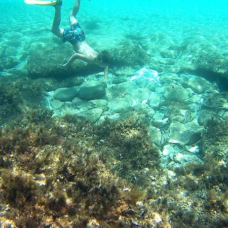 Charming Seafront In Kea *